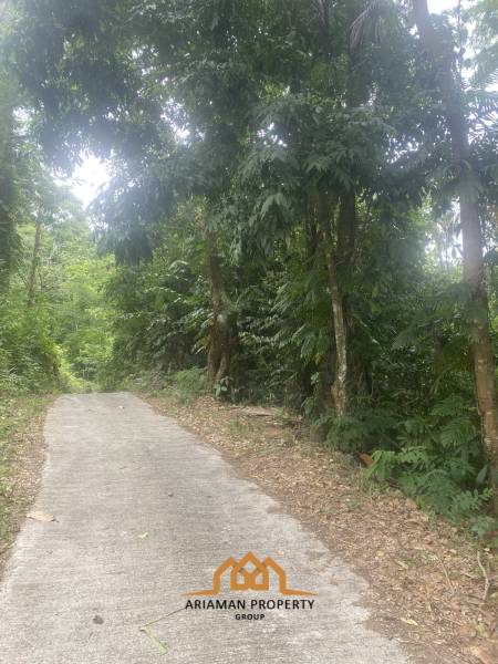 11 rai of Premium Land for Sale in Maret Koh Samui