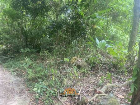 11 rai of Premium Land for Sale in Maret Koh Samui