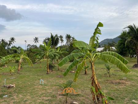 5 Rai of Premium Freehold Land in Lamai, Ko Samui,