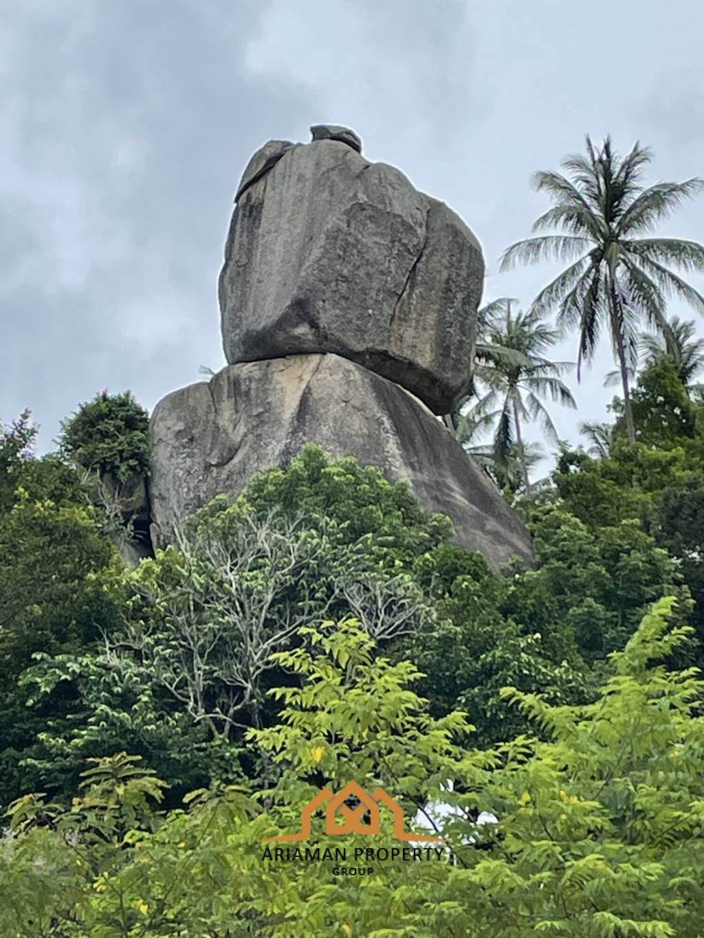 2,800 平方米 土地 对于 销售