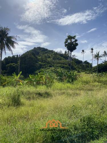 2180 Sqm Of Prime Location Land for Sale in Lamai, Ko Samui