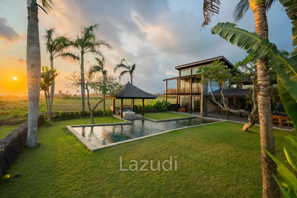 Luxury Rice Field Villas in Tabanan - Your new home