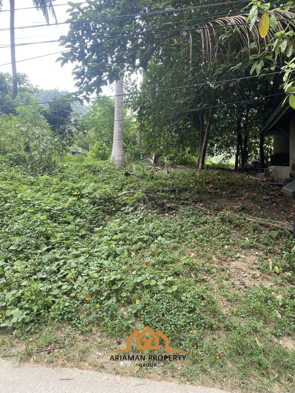 Scenic Freehold Land in Maret Ko Samui