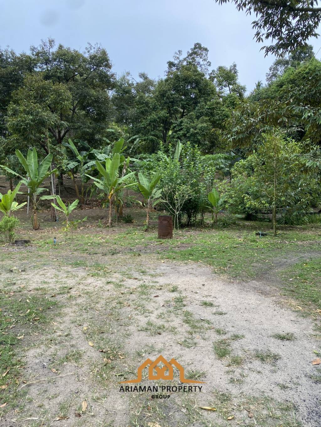 5 Rai of Freehold Land in Lamai, Ko Samui