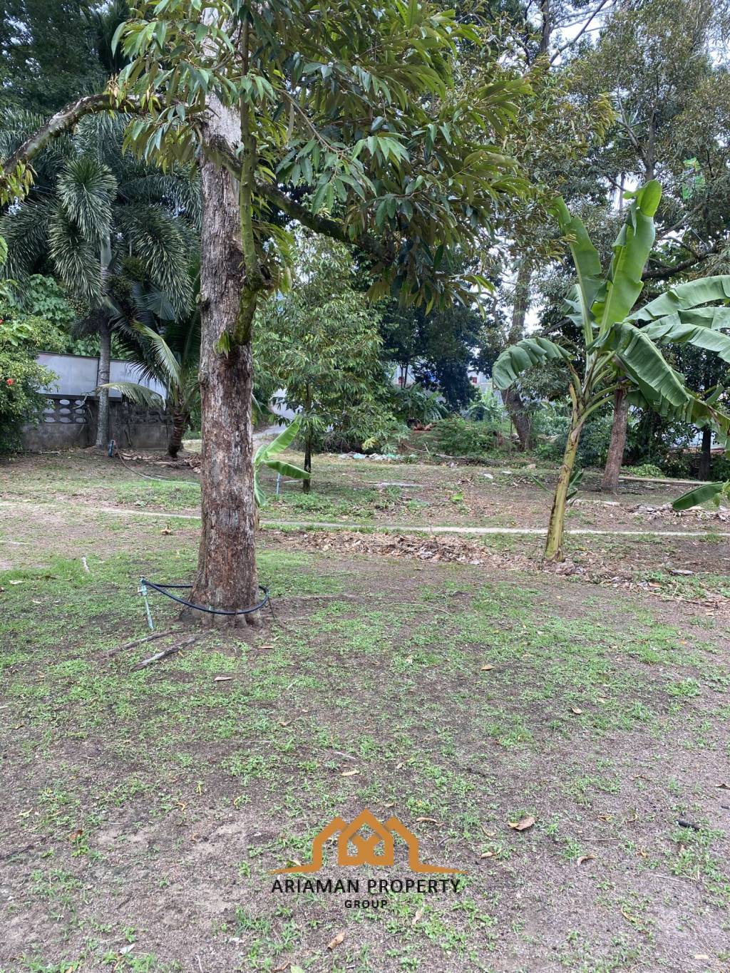 5 Rai of Freehold Land in Lamai, Ko Samui