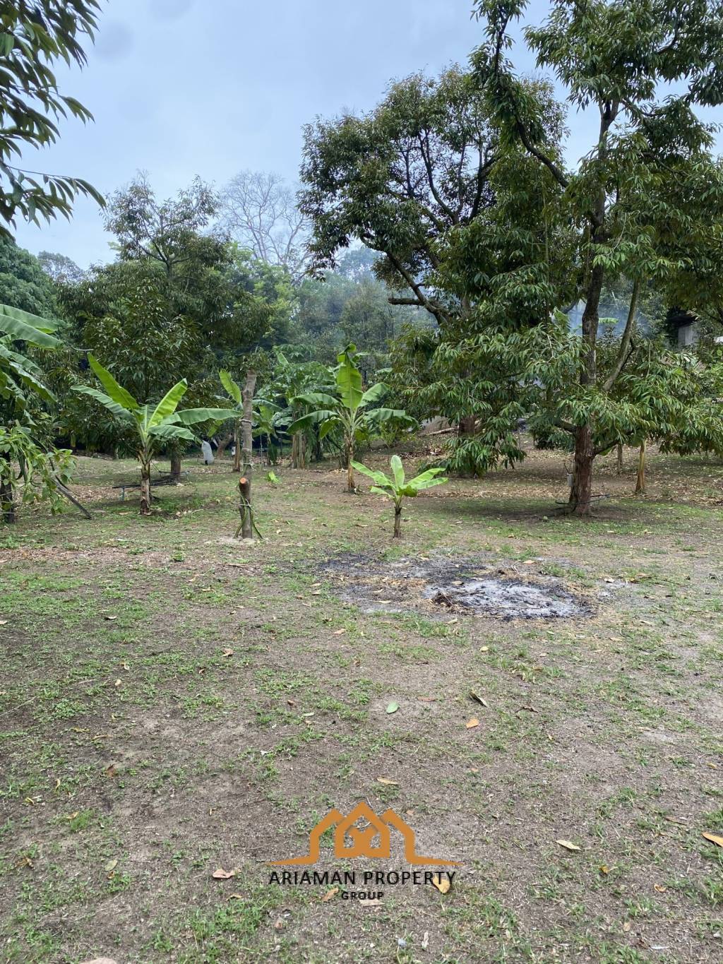 5 Rai of Freehold Land in Lamai, Ko Samui