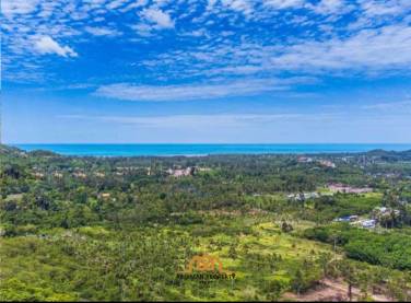 Affordable 1600sqm Freehold Land with Ocean View in Maenam, Ko Samui