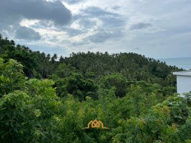 Affordable Scenic Freehold Land in Lamai, Ko Samui