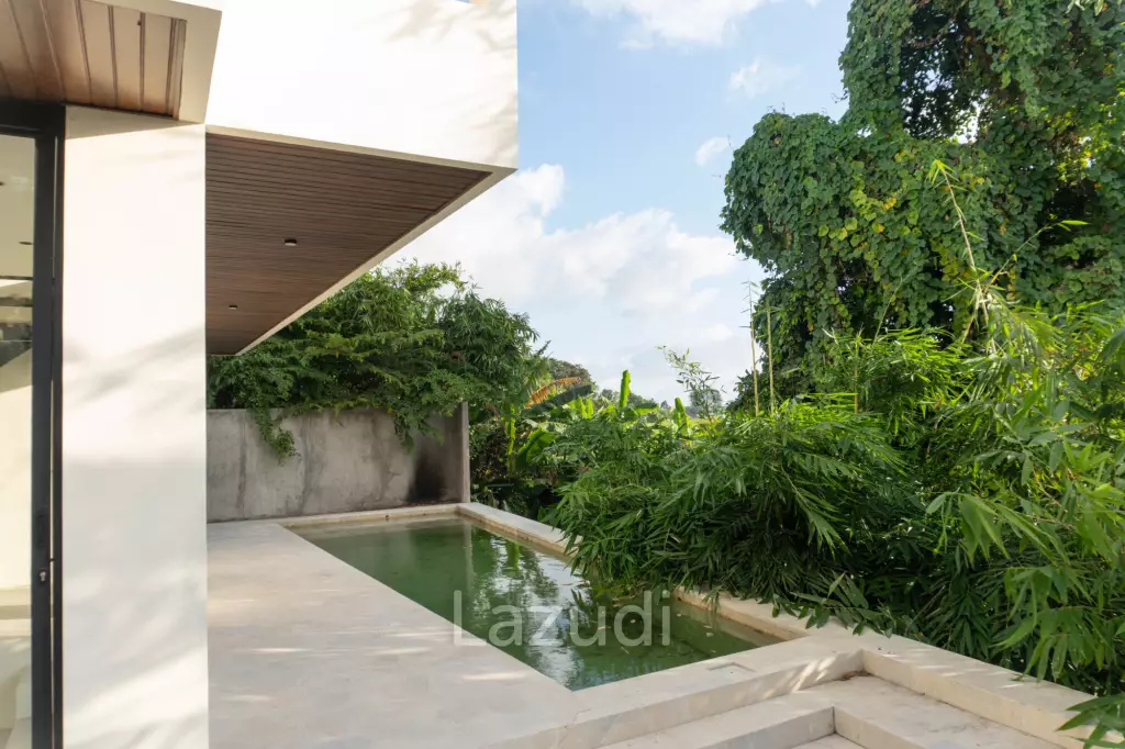 Spacious 3 Bedroom Freehold Villa in Pererenan, Ideal for Investment