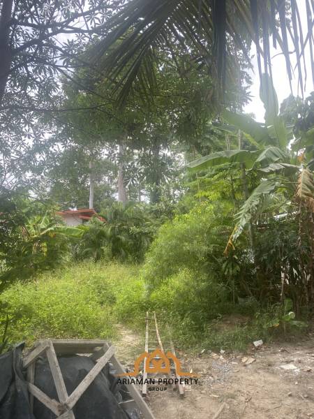 1260sqm of Affordable Land for Sale in Maenam, Ko Samui