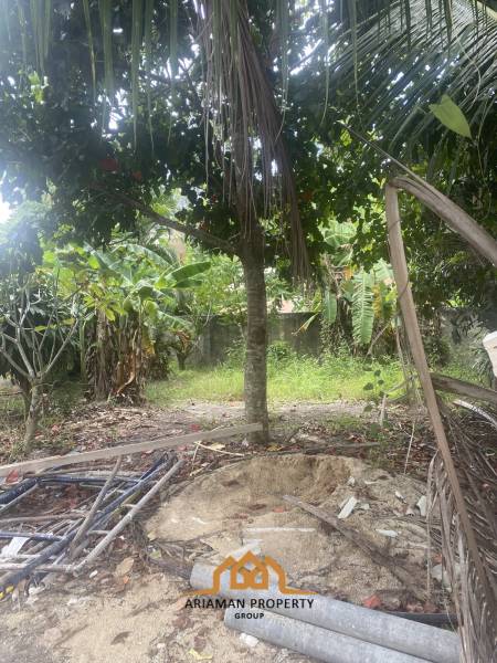 1260sqm of Affordable Land for Sale in Maenam, Ko Samui