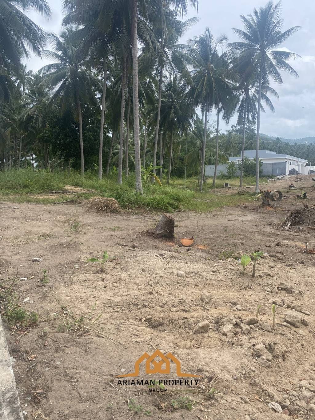 1,516sqm Land in Maenam Soi 1 with Mountain Views