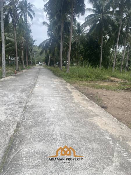 1,516sqm Land in Maenam Soi 1 with Mountain Views