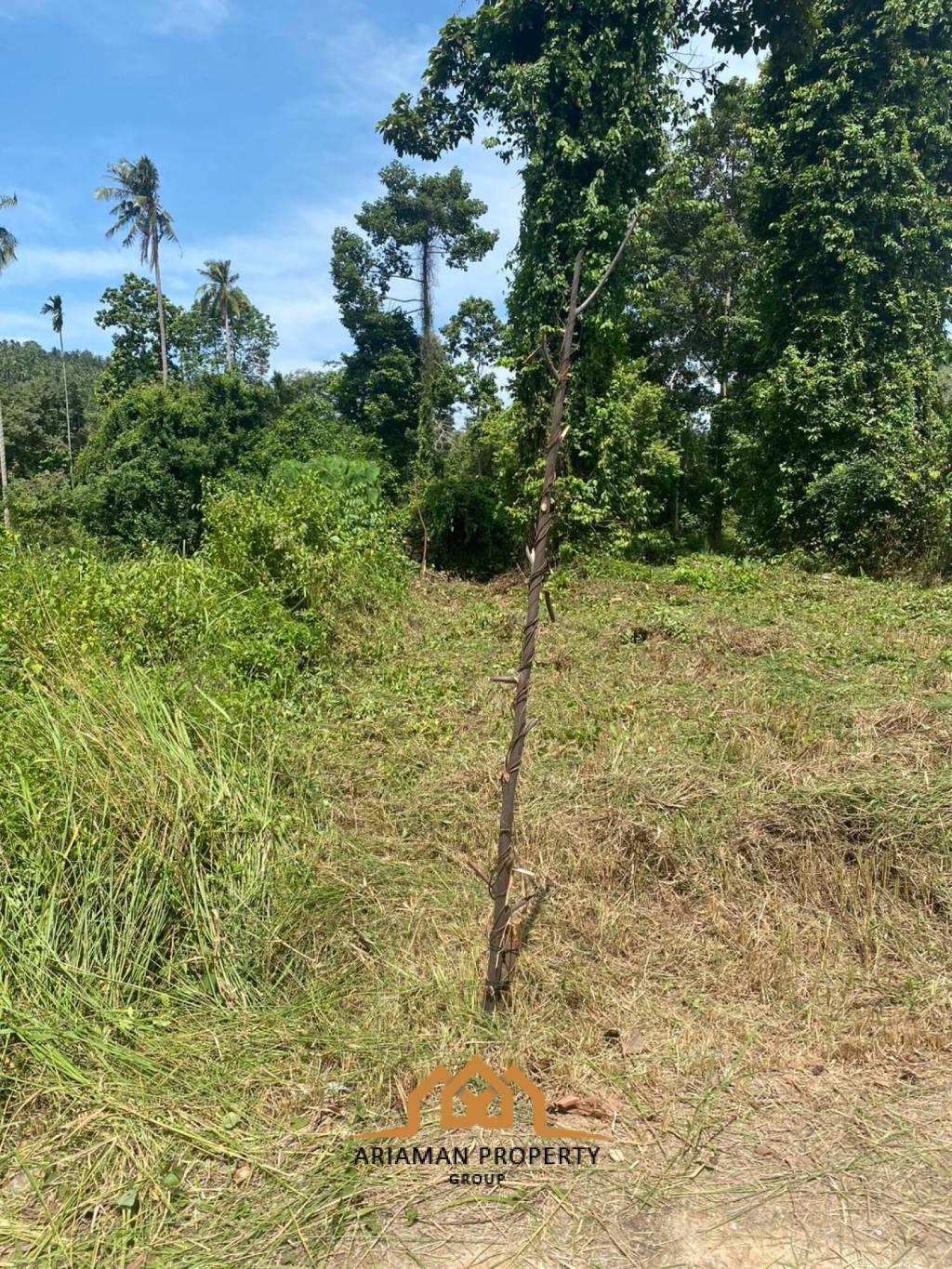 1200 sqm Freehold seaview Land in Lush Maenam Soi 2 Ko Samui