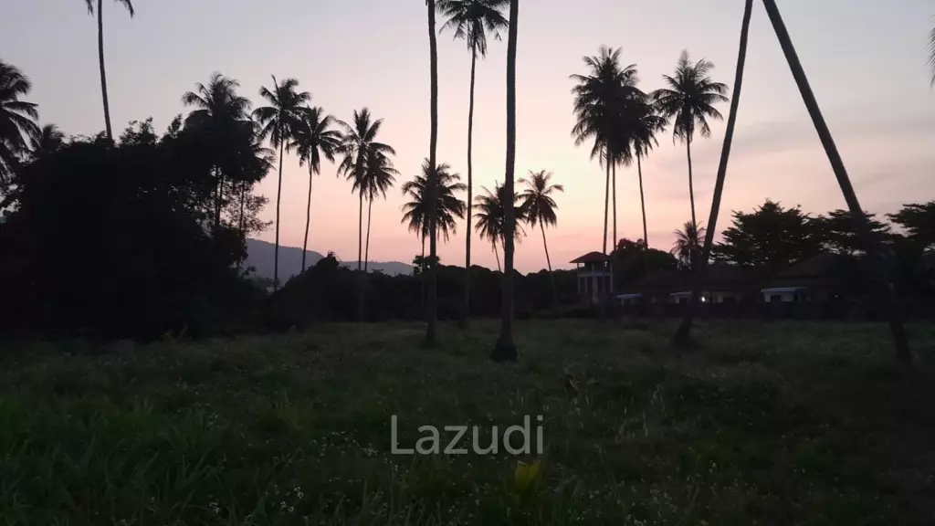 Restaurant with Freehold Land, 600m to the Beach