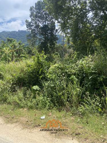 5 Rai of Luxurious Freehold Land in Lamai, Ko Samui