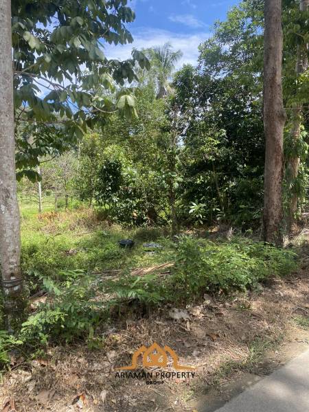 1 Rai of Freehold Land for Sale in Lamai, Ko Samui