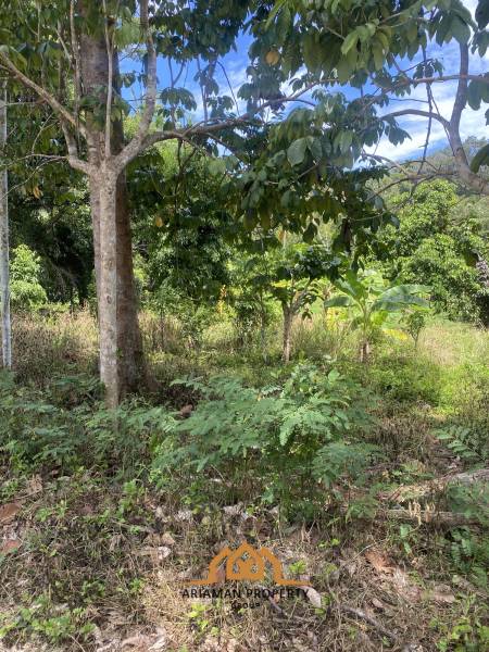 1 Rai of Freehold Land for Sale in Lamai, Ko Samui