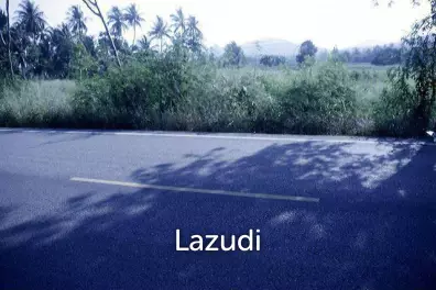 BEAUTIFUL  LAND 1 RAI  IN TAP TAI FOR SALE