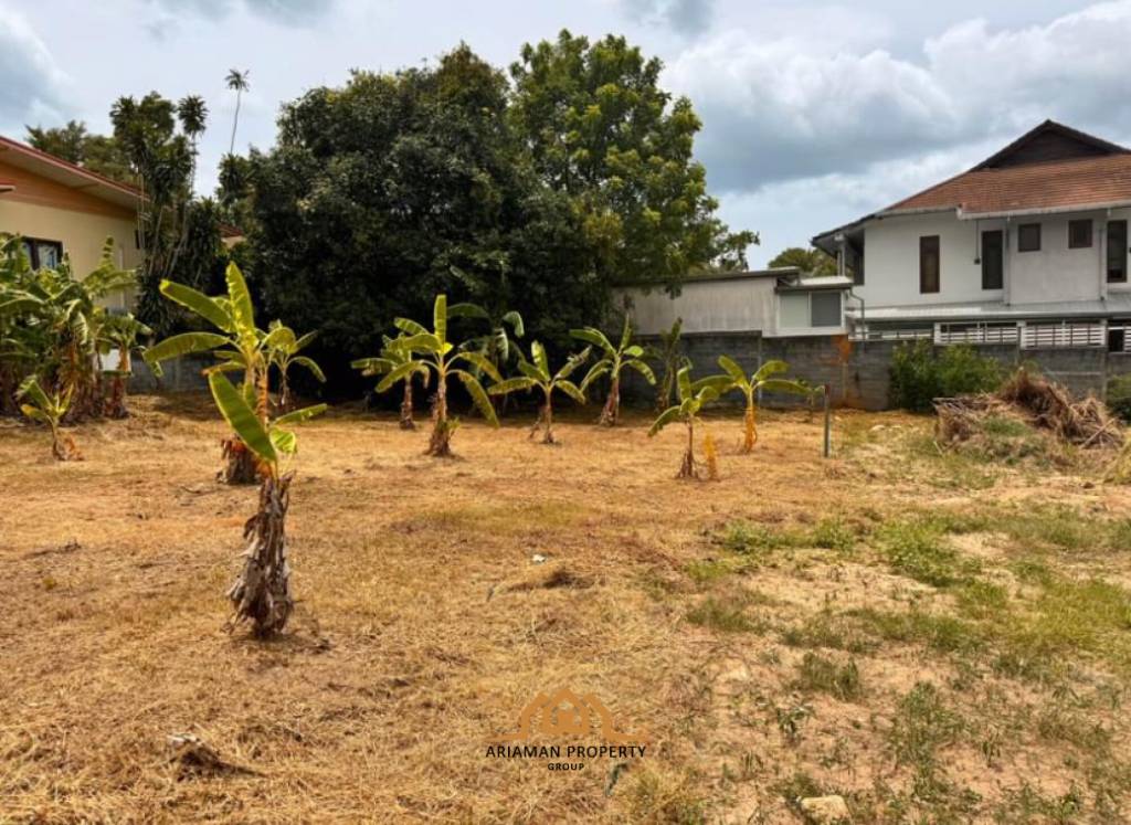 282sqm Affordable Freehold Land for Sale in Choengmon