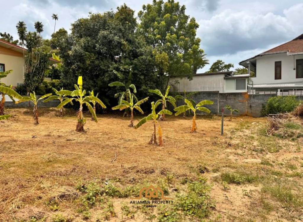 282sqm Affordable Freehold Land for Sale in Choengmon