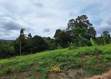 3 Rai of Premium Freehold Land for Sale in Maenam Soi 2