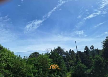 3 Rai of Premium Freehold Land for Sale in Maenam Soi 2