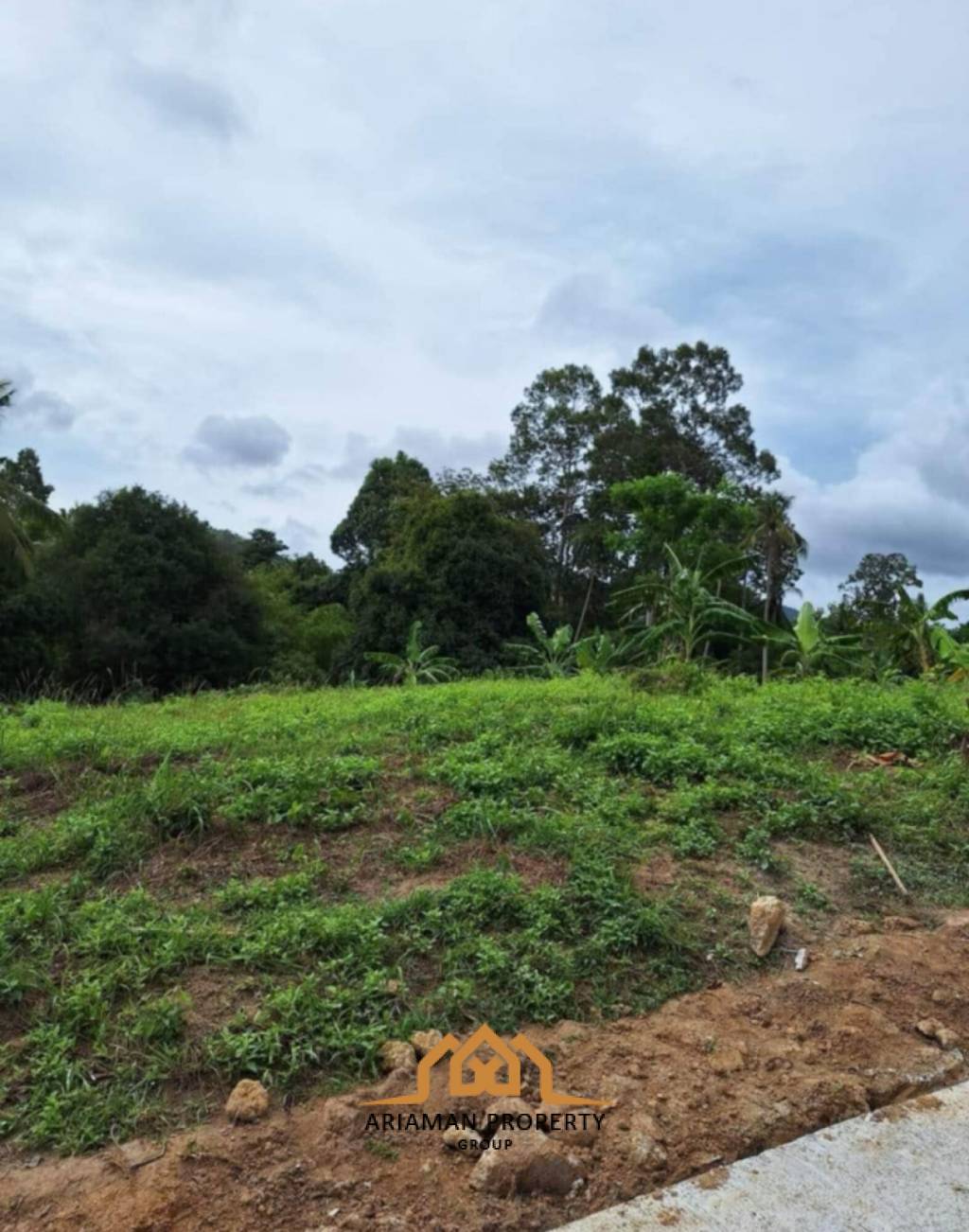 3 Rai of Premium Freehold Land for Sale in Maenam Soi 2