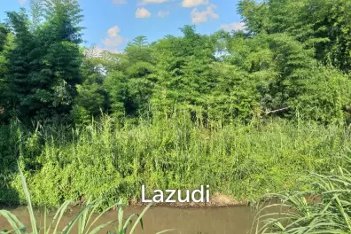 Fertile river bank in Baan Huai Sai