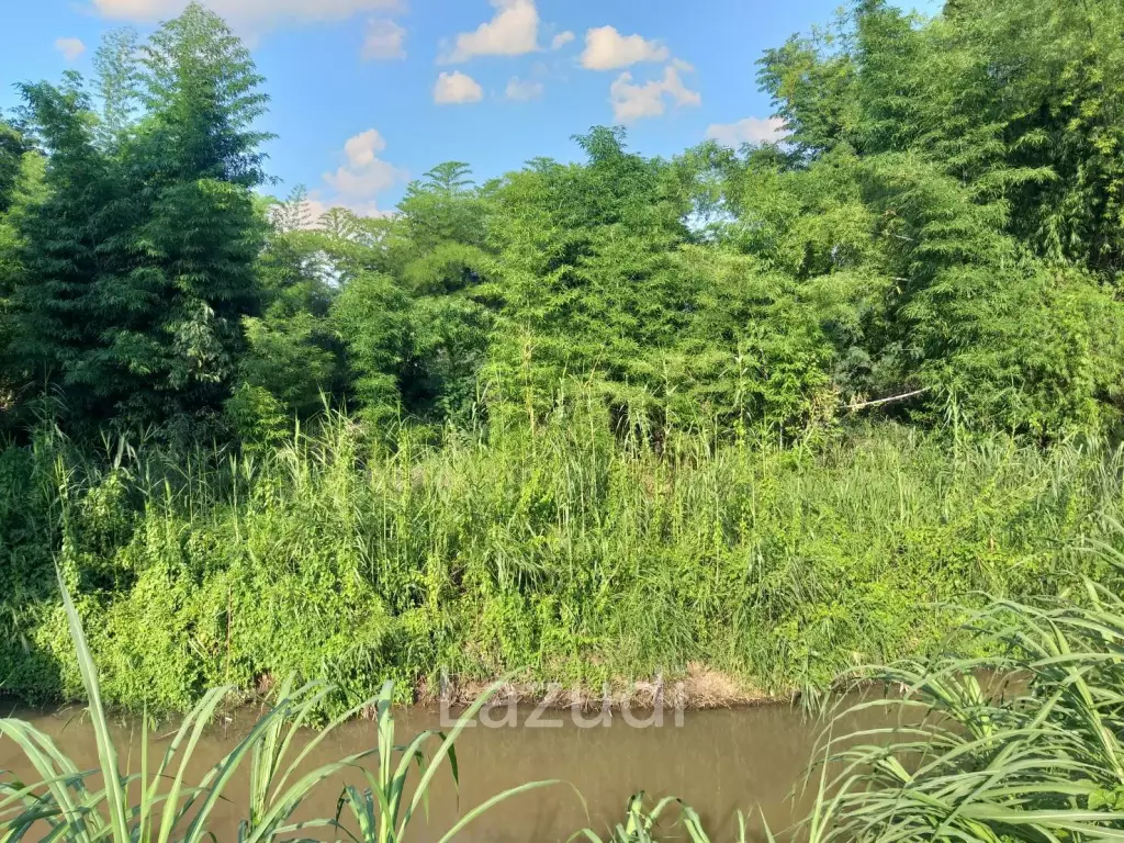 Fertile river bank in Baan Huai Sai