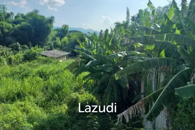 Fertile river bank in Baan Huai Sai
