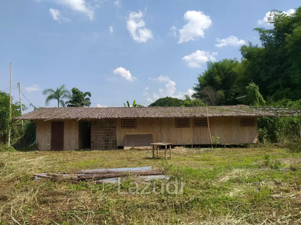 Fertile river bank in Baan Huai Sai