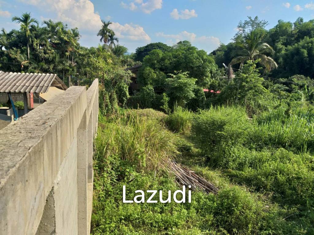 Fertile river bank in Baan Huai Sai