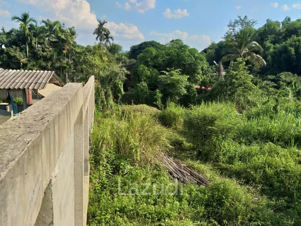 Fertile river bank in Baan Huai Sai
