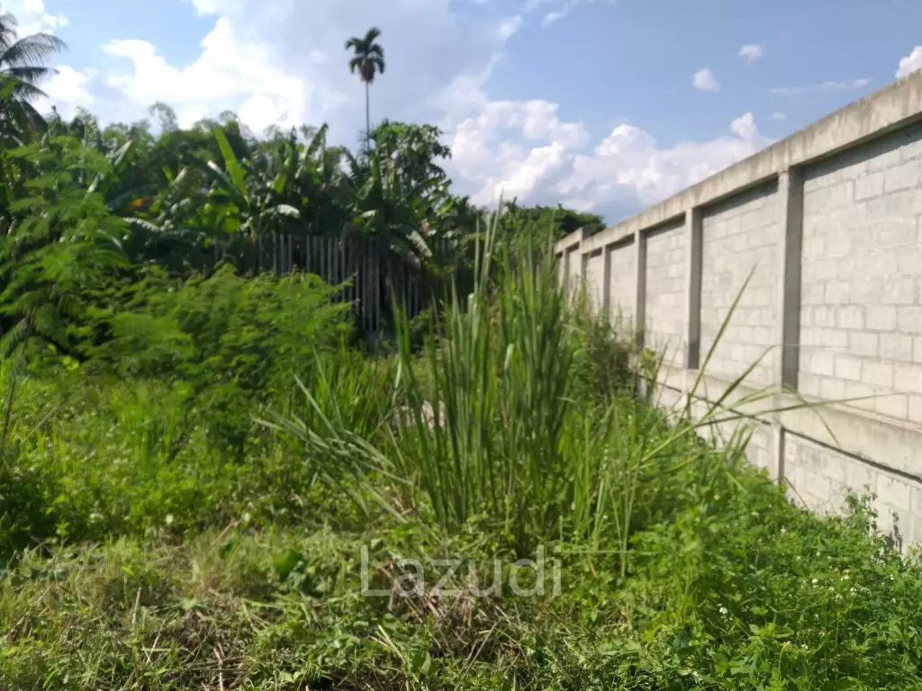 Fertile river bank in Baan Huai Sai