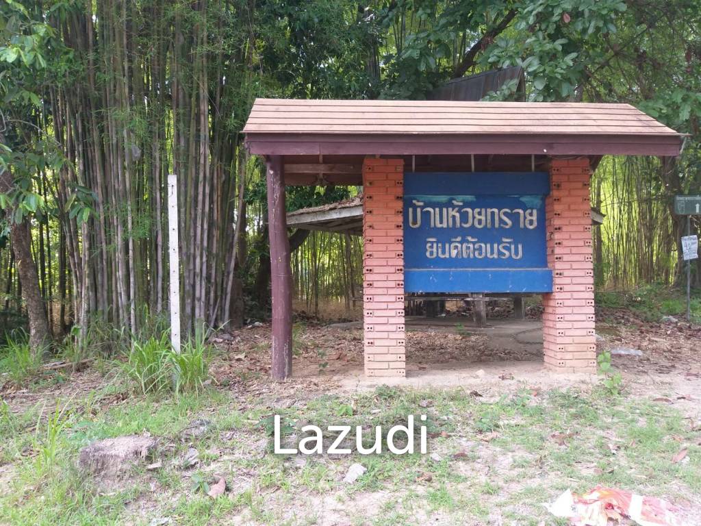 Fertile river bank in Baan Huai Sai
