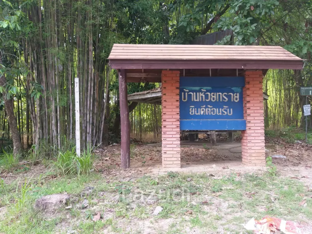 Fertile river bank in Baan Huai Sai