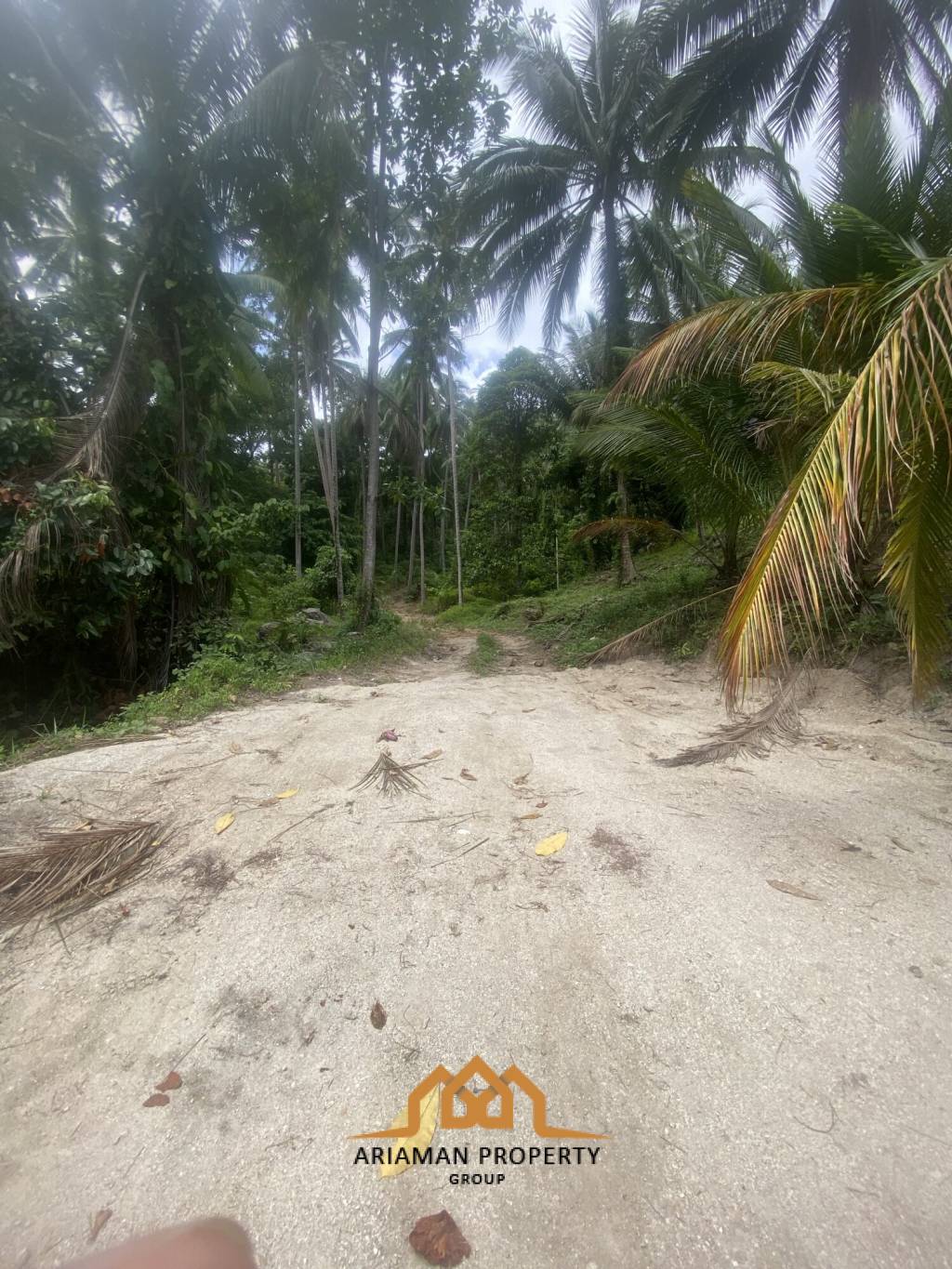 4 Rai of Beautiful Tropical Seaview Land for Sale in Lamai