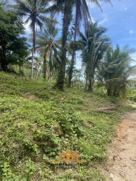 4 Rai of Beautiful Tropical Seaview Land for Sale in Lamai