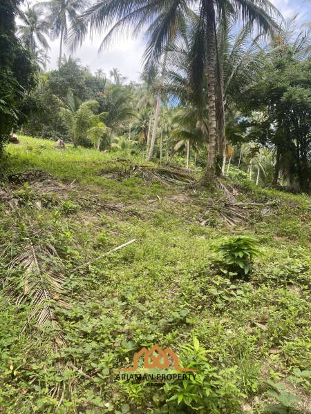 4 Rai of Beautiful Tropical Seaview Land for Sale in Lamai