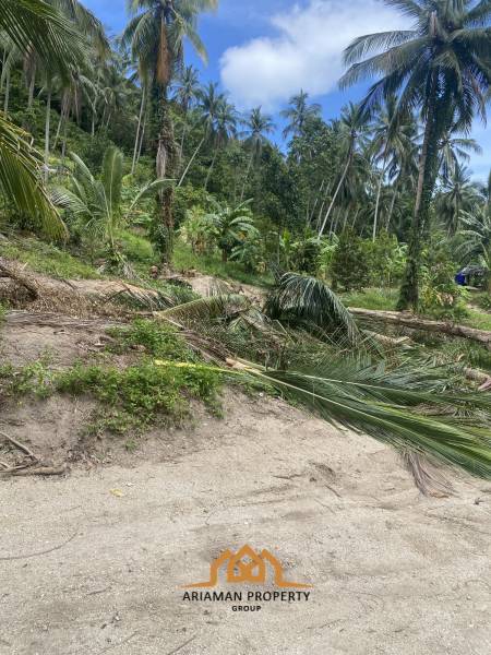 4 Rai of Beautiful Tropical Seaview Land for Sale in Lamai