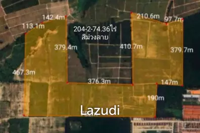 204 Rai 2 Ngan 74.36 SQ.M. Land in Bowin