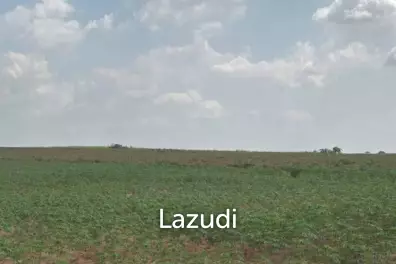 204 Rai 2 Ngan 74.36 SQ.M. Land in Bowin
