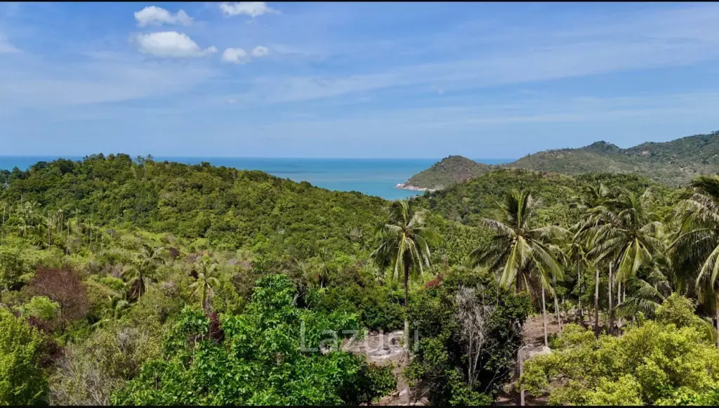 Stunning Sea View Land for Sale in Koh Phangan!