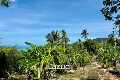 Stunning Sea View Land for Sale in Koh Phangan!