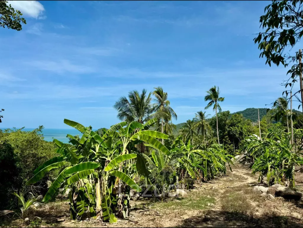 Stunning Sea View Land for Sale in Koh Phangan!