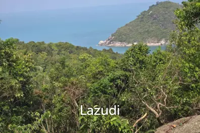 Stunning Sea View Land for Sale in Koh Phangan!