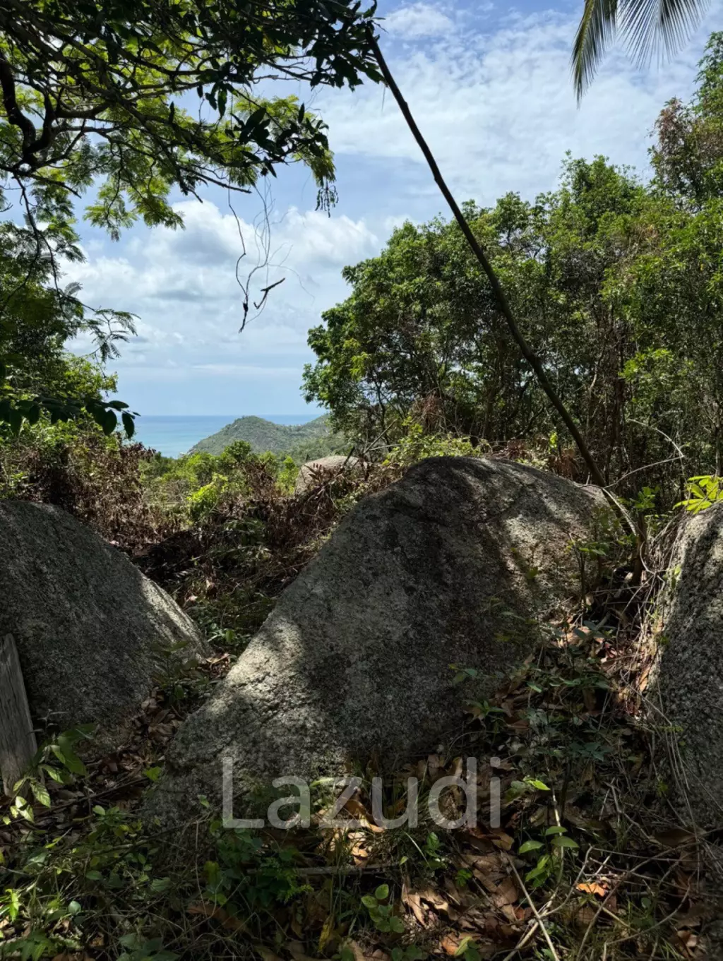 Stunning Sea View Land for Sale in Koh Phangan!