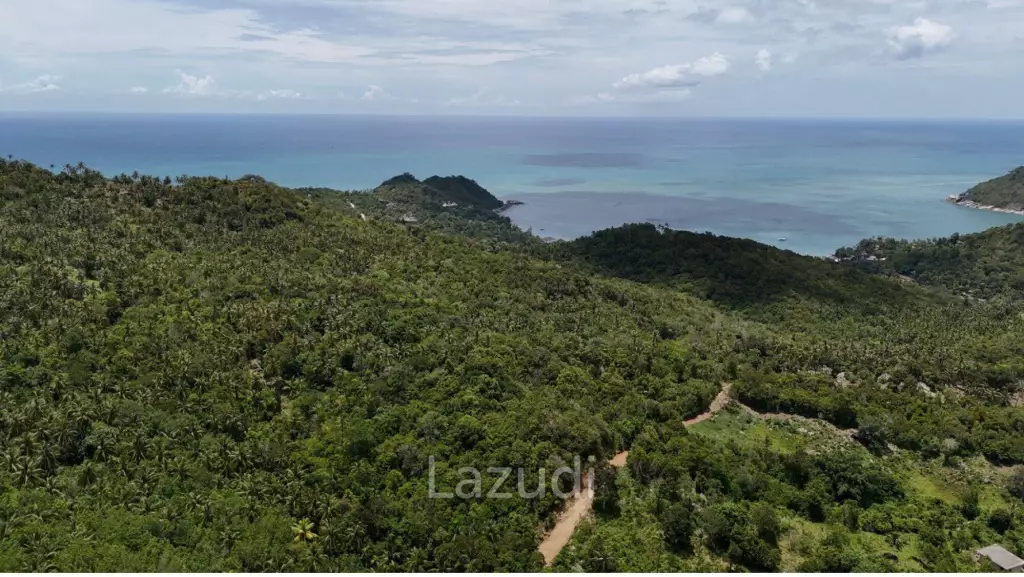 Stunning Sea View Land for Sale in Koh Phangan!