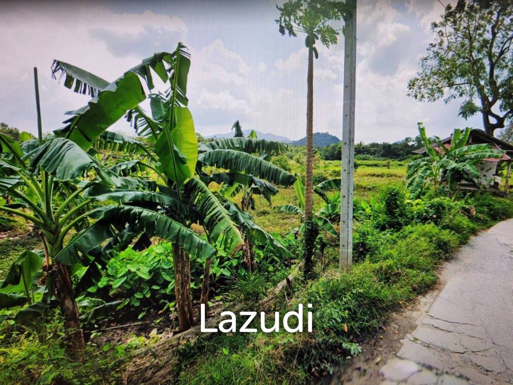 Prime Land Opportunity in Lush Lipa Noi Ko Samui